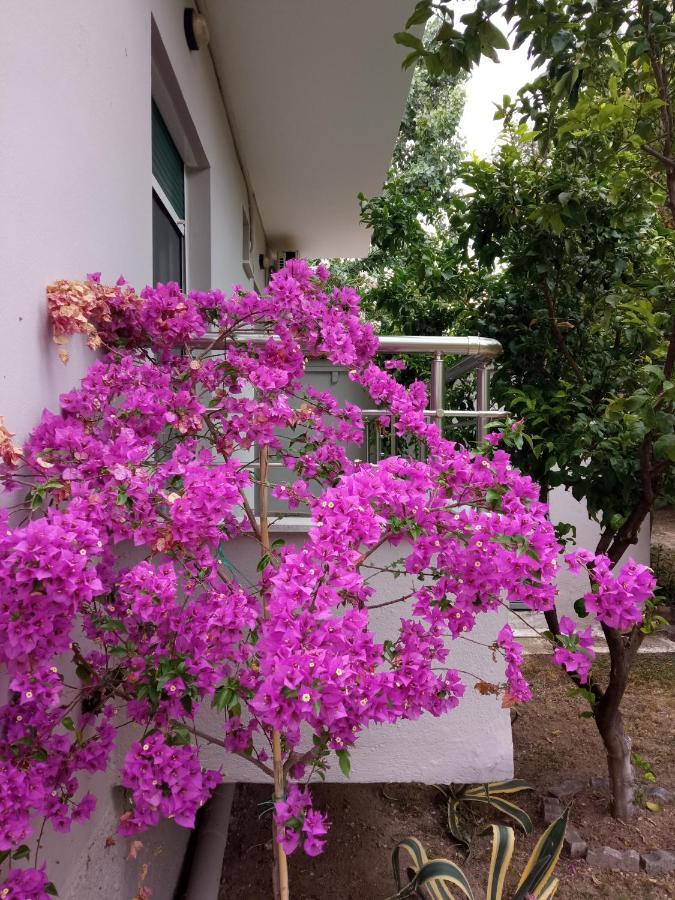 Sofia'S Garden Apartment Néa Péramos Exterior foto